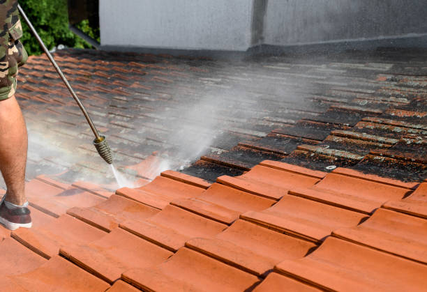 Best Best Pressure Washing Companies  in Arlington, MN